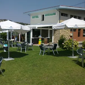 book here